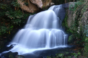Fototapeta na wymiar Waterfall in Rio de Janeiro - Brazil
