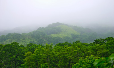 Obraz premium Green hills in the morning mist