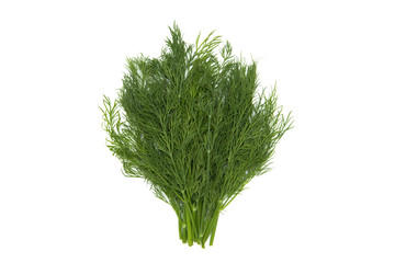 ハーブ　ディル