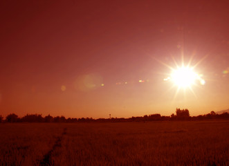 Fototapeta premium sky