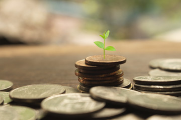 save money and growth plant.