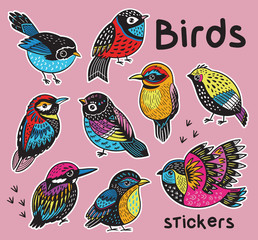 Sticker set with hand drawn exotic birds