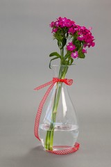Flower vase tied with red ribbon