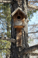 Birdhouse on the tree