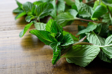 キューバミント © nutria3000