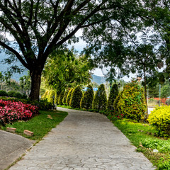 Concrete Pathway in park