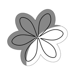 beautiful flower design