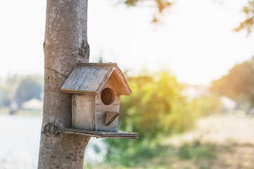 Small house of Birds