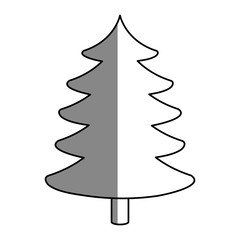 pine tree icon