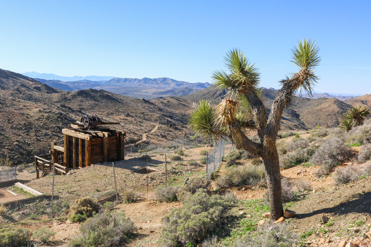 Lost Horse Mine