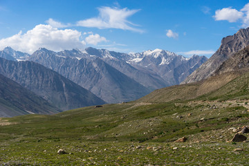 Fototapeta na wymiar Zanskar valley landscape in summer, Jammu Kashmir, India
