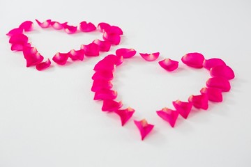 Rose petals forming heart shape against white background