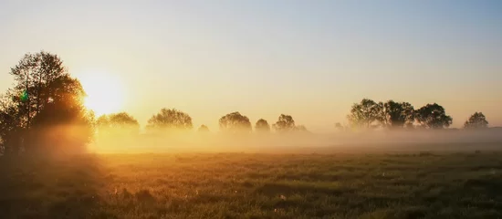 Fototapete Land Nebliger Morgen auf der Wiese