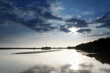 Toong Prong Thong Mangrove forest the Nature Preserve in Klaeng, Rayong province, Thailand