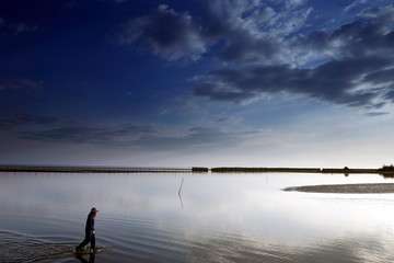 Beach and mangrove forest in  tropical coastal. Mangroves are salt tolerant trees and are adapted to life in harsh coastal conditions.