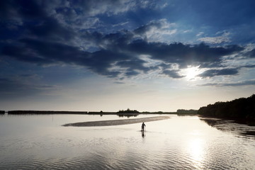 Beach and mangrove forest in  tropical coastal. Mangroves are salt tolerant trees and are adapted to life in harsh coastal conditions.
