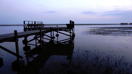 The calm tropical beach
