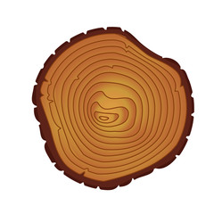 Fototapeta premium Annual tree rings. Saw cut trunk.