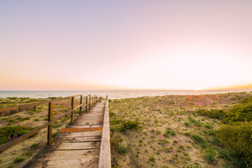 Boardwalk on a beach at sunset