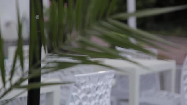 Cafe with white chairs on the beach, obn caribian ocean and sunny sky with palm tree.