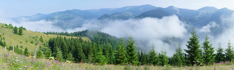 Panorama of the mountains with morning fog.
