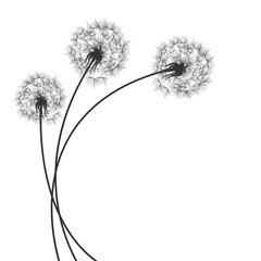 Background with Dandelions