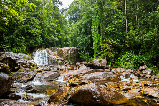 Waterfall in Sinharaja rainforest
