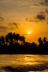 Fototapeta na wymiar Coconut palm trees silhouette on a tropical beach at sunset.