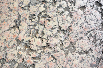 Stone texture