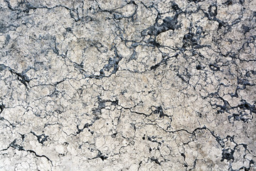 Stone texture