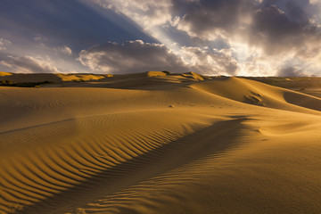 Fototapeta na wymiar Beautiful views of the desert landscape. Gobi Desert. Mongolia.
