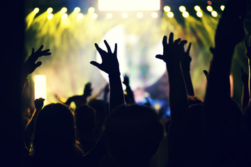 Crowd rocking during a concert with raised arms.