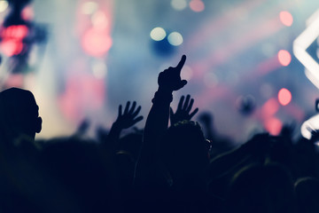 Fototapeta na wymiar Crowd rocking during a concert with raised arms.