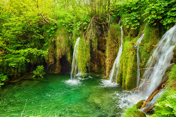 Naklejka premium Plitvice lakes park in Croatia