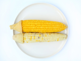 Boiled sweet corn in white circle plate on white background
