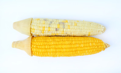 Boiled sweet corn isolated on white background