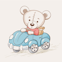 cute funny bear drive a car