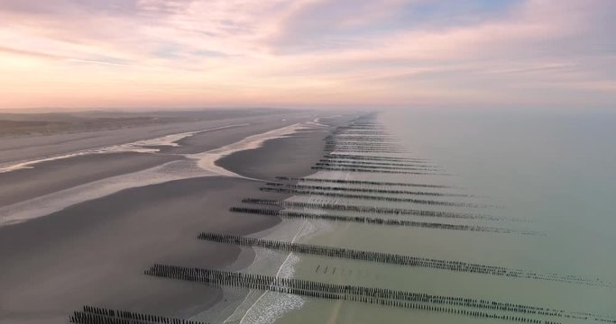 Moules de bouchots &agrave; Quend-Plage et alignements de bouchots
