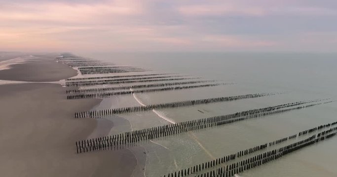 Moules de bouchots &agrave; Quend-Plage et alignements de bouchots