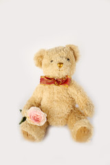 Cute teddy bear doll