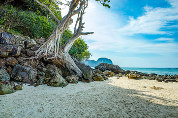 Wood and stones on the beach Phuket, Thailand