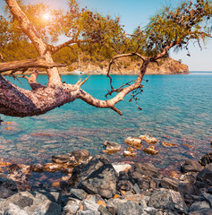 Bright azure seascape in the small bay near Tekirova village © Andrew Mayovskyy