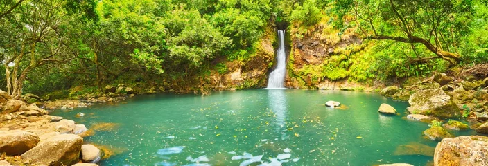 Foto auf Acrylglas Kaskaden-Chamouze-Wasserfall. Mauritius. Panorama © Olga Khoroshunova