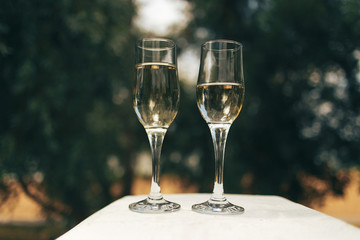 .Glasses with champagne on the background of foliage