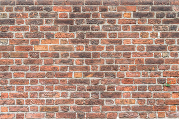 Panele Szklane  Stary mur z czerwonej cegły - Stary mur z czerwonej cegły