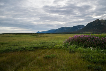 Fototapeta na wymiar Mountains and Lush Meadows Close to Channel-Port Aux Basques in Newfoundland, Canada
