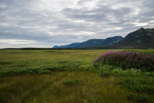 Mountains and Lush Meadows Close to Channel-Port Aux Basques in Newfoundland, Canada