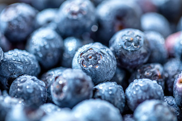 Blaubeeren