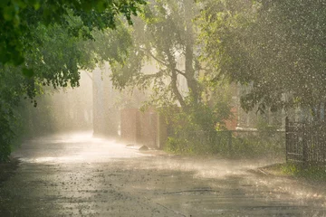 Foto op Aluminium Torrential rain and sunlight on the street. © Belozorova Elena