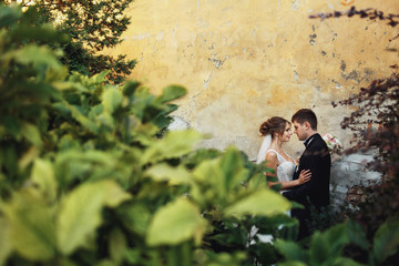 Look over the bushes at wedding couple huging before the wall